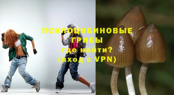 MDMA Premium VHQ Нязепетровск