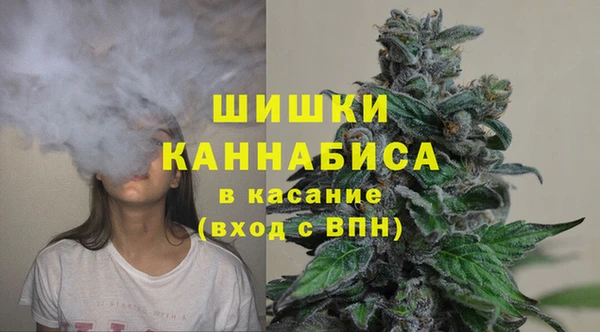 дурь Нягань