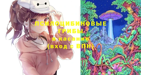 дурь Нягань